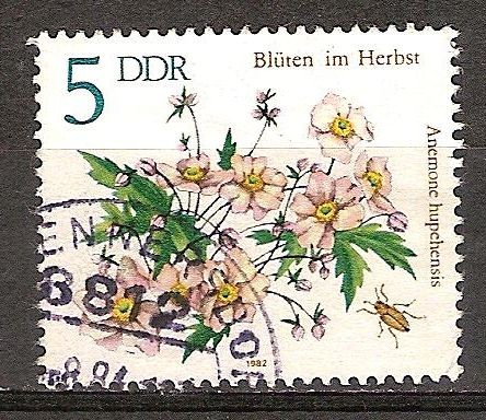 Anemone hupehensis-Flores de Otoño-DDR.