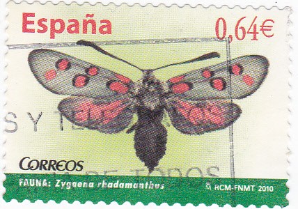 Mariposa