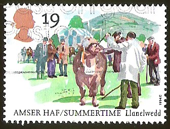 AMSER HAF/SUMMERTIME - LLANELWEDD