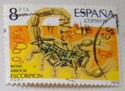 ESCORPION