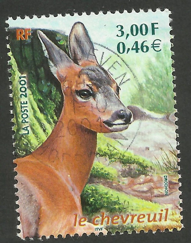 Le chevreuil