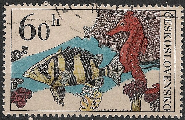 Tropical Fish. Sc2008