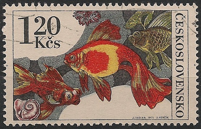 Tropical Fish. Sc2010