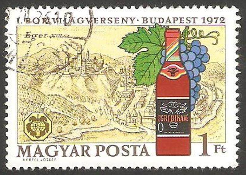 2246 - Botella de vino, Egri Bikaver