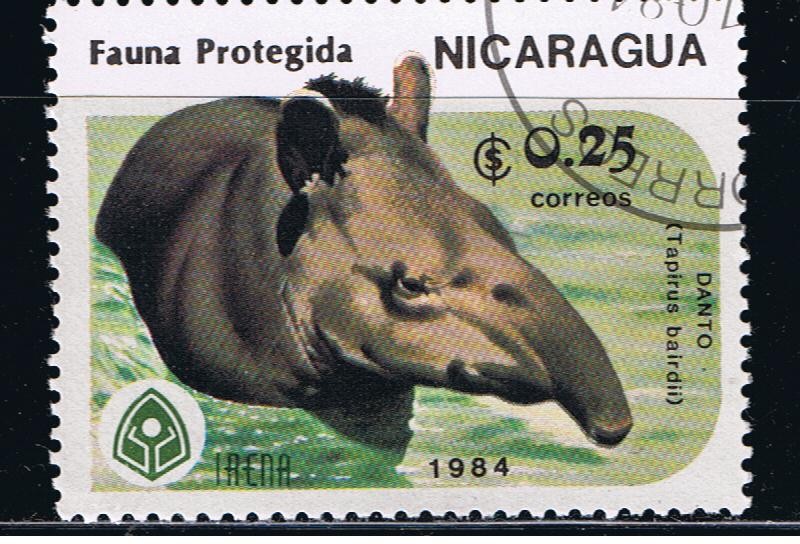 Fauna protegida  Danto Tapirus bairdii