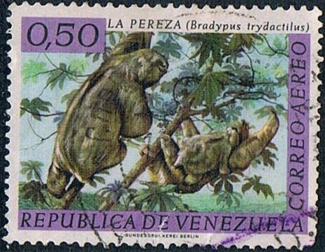 FAUNA SALVAJE. PEREZOSO (BRADYPUS TRIDACTILUS). Y&T Nº A-780