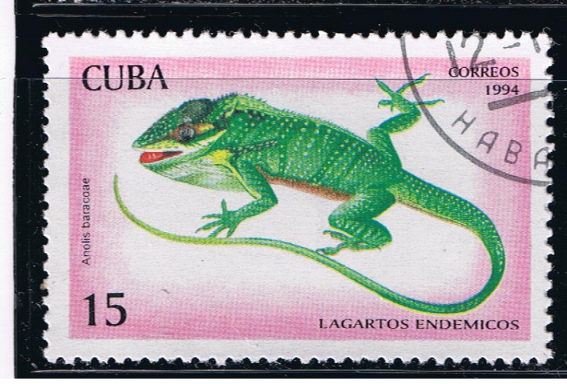 Lagartos endémicos  Anolis baracoae