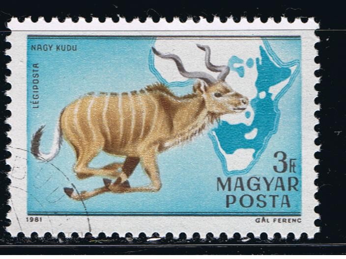 Nagy kudu