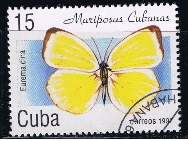 Mariposas cubanas.  Eurema duna