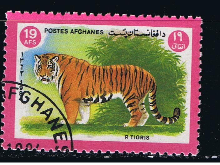 P. tigris