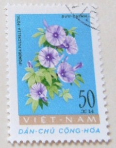FLORA