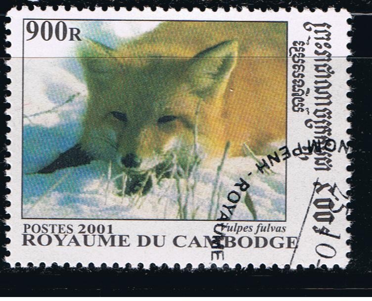 Vulpes fulvas