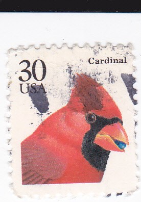 Cardinal