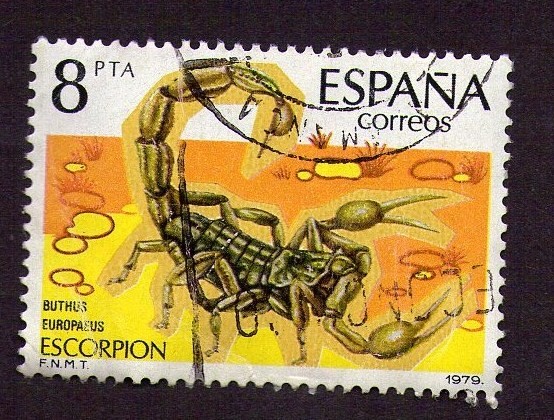 escorpion