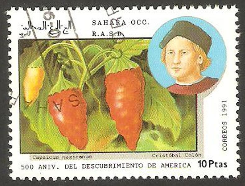 500 anivº del descubrimiento de América, Cristóbal Colón
