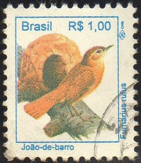 pajaros