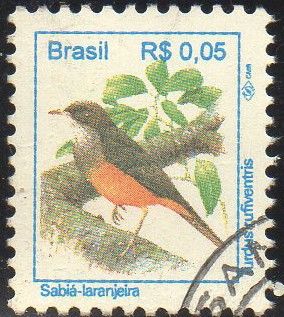 pajaros