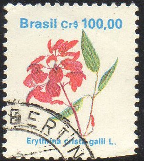 Flora Brasileira