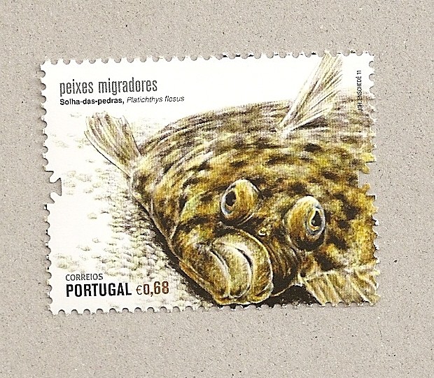 Peces migratorios