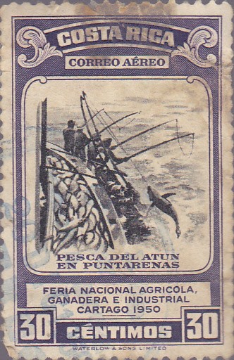 Pesca del atún en puntarenas - Feria Nacional Agricola, Ganadera e Industrial Cartago 1950