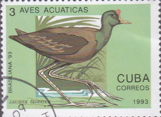 Aves Acuaticas - Cuba Correos 1993