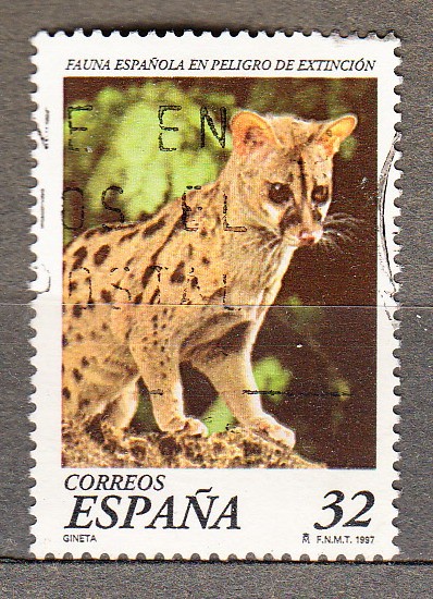 E3469 Fauna en extinción (564)