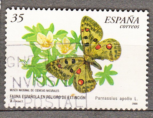 E3694 Fauna Española (574)
