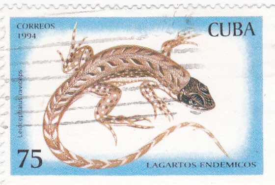 lagartos endémicos