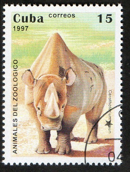 Rinoceronte