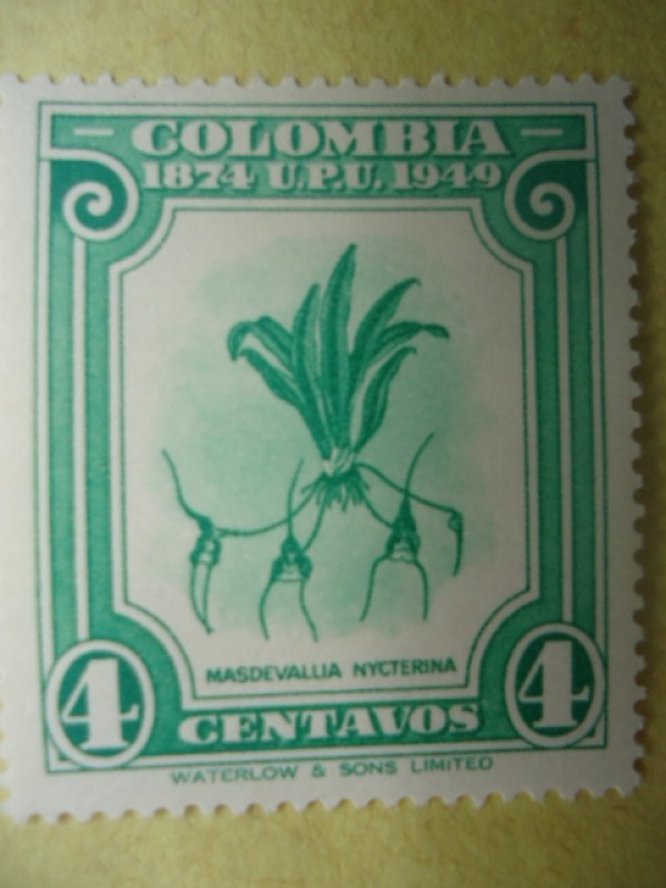 MASDEVALLIA  NYCTERINA-Colombia 1874  U.P:U. 1949