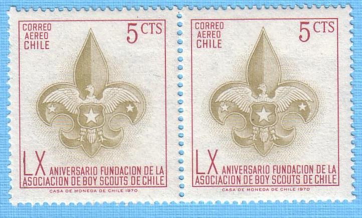 40 Aniversario Boy Scouts de Chile