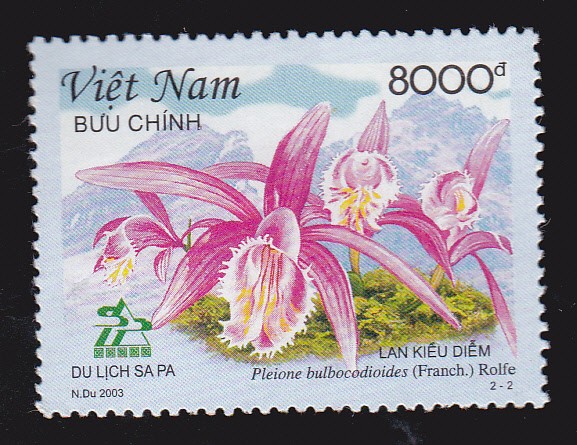 VIETNAM