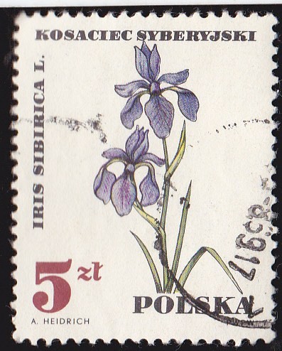 POLONIA - FLORES IRIS