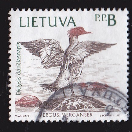 LITUANIA - AVES 