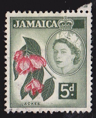 JAMAICA