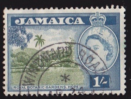 JAMAICA - ROYAL BOTANIC GARDENS HOPE