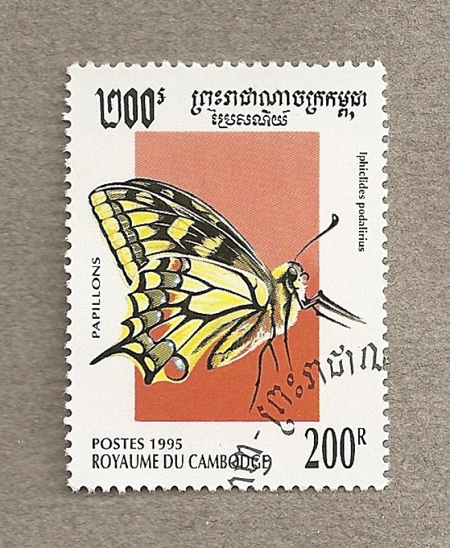 Mariposa Iphiclides podalirius