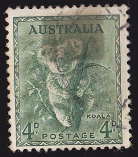 AUSTRALIA - KOALA