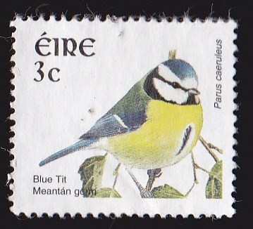 IRLANDA - AVES - BLUE TIT