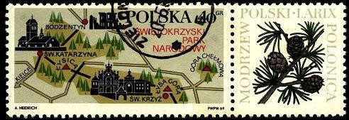 Mapa gráfico del parque nacional Swietokrzyski. Flora modrzew polski-larix (larix polonica).
