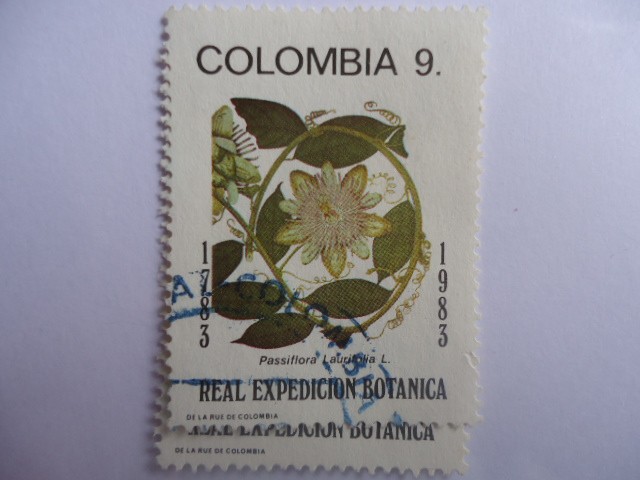 REAL EXPEDICIÓN BOTÁNICA - passiflora laurifolia. Bicentenario  