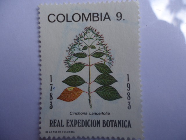 REAL EXPEDICIÓN BOTÁNICA (Cinchona Lanceifolia)