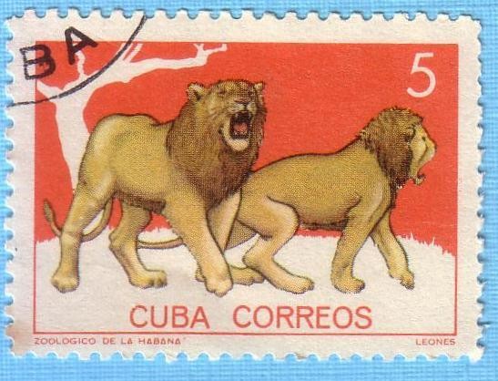 Zoológico de La Habana 