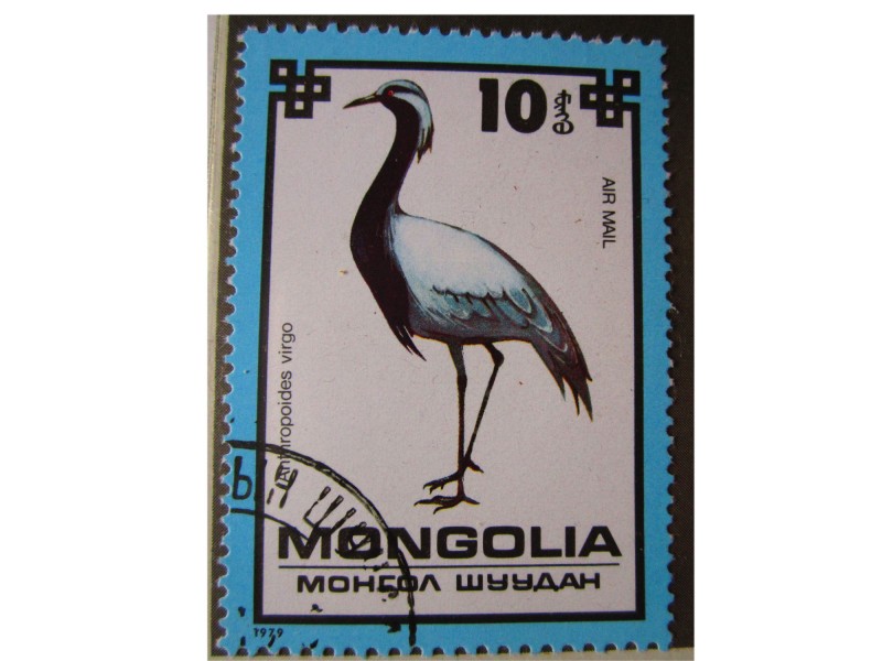proteccion de las aves