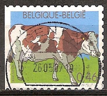 Granja de  animales.Vaca.