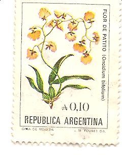 Flor de Patito