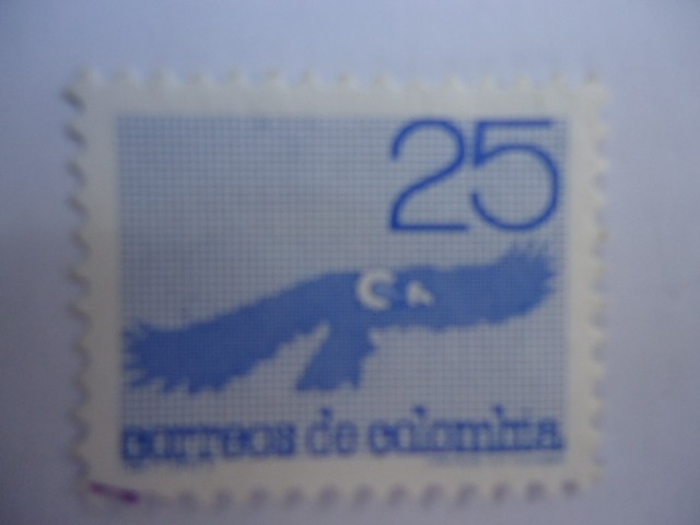 CÓNDOR (Vultur gryphus) Cóndor de los Andes.,