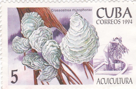 Acuicultura