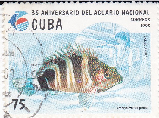 35 Aniv. del Acuario Nacional