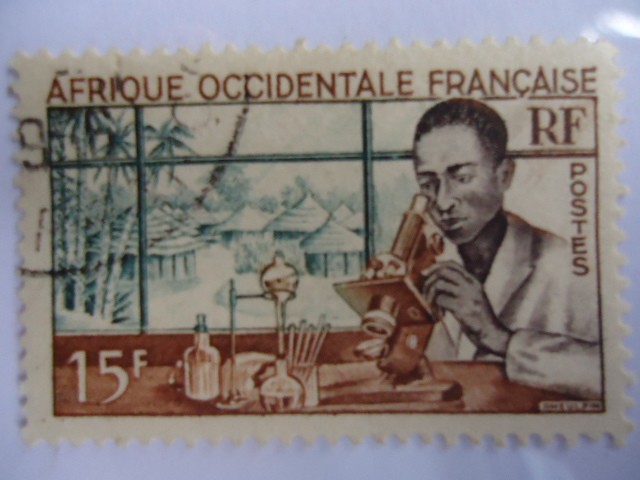 Afrique Occidentale Française (Colonias Francesas)